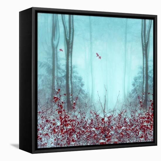 Everything and More-Dirk Wuestenhagen-Framed Stretched Canvas