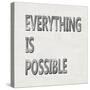 Everything is Possible-Jamie MacDowell-Stretched Canvas