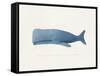 Everything Whale Be All Right-Leah Straatsma-Framed Stretched Canvas