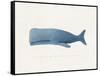 Everything Whale Be All Right-Leah Straatsma-Framed Stretched Canvas