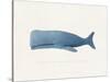 Everything Whale Be All Right-Leah Straatsma-Stretched Canvas