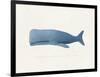 Everything Whale Be All Right-Leah Straatsma-Framed Premium Giclee Print