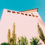 Palms and Hotel-Evgeniya Porechenskaya-Photographic Print