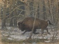 The Wood Bison-Evgeny Alexandrovich Tichmenev-Giclee Print