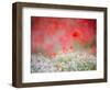 Evidence-Marco Carmassi-Framed Photographic Print