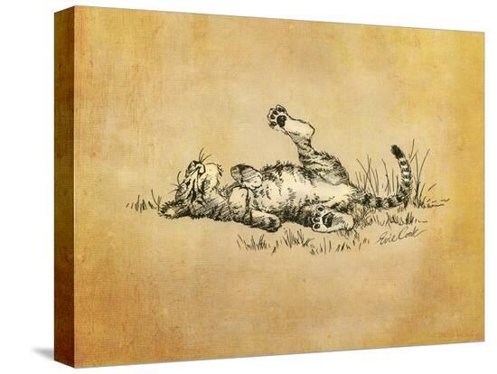 Stretched Canvas Print, , large