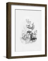 Evie-Design Fabrikken-Framed Art Print