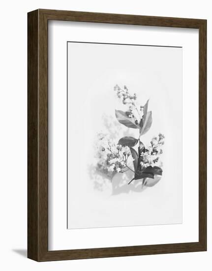 Evie-Design Fabrikken-Framed Art Print