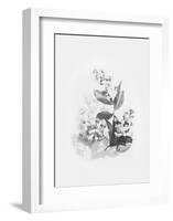 Evie-Design Fabrikken-Framed Art Print