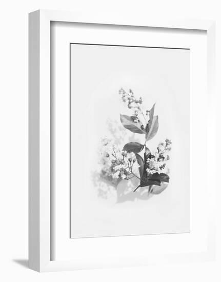 Evie-Design Fabrikken-Framed Art Print