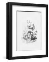 Evie-Design Fabrikken-Framed Art Print