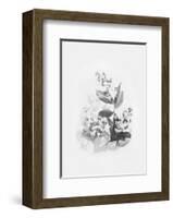 Evie-Design Fabrikken-Framed Art Print