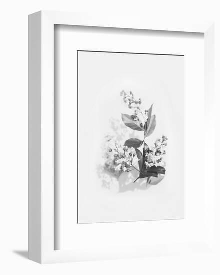 Evie-Design Fabrikken-Framed Art Print