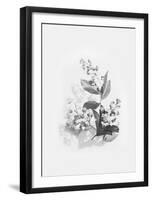 Evie-Design Fabrikken-Framed Art Print