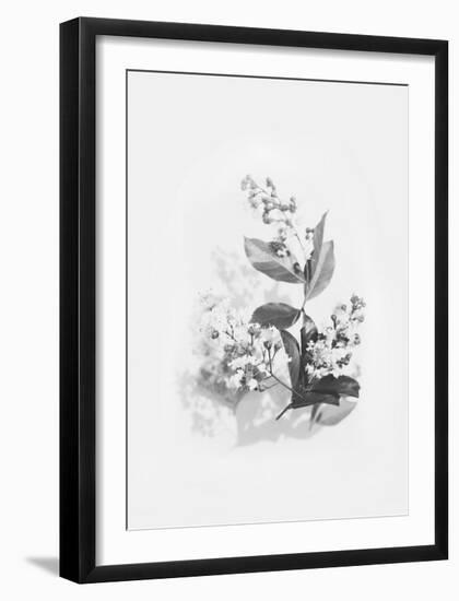 Evie-Design Fabrikken-Framed Art Print