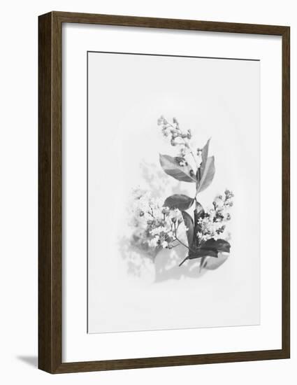 Evie-Design Fabrikken-Framed Art Print