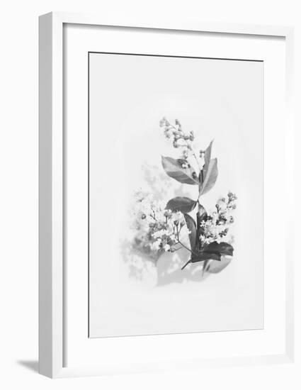 Evie-Design Fabrikken-Framed Art Print