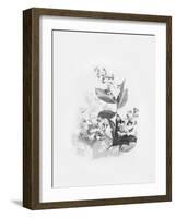 Evie-Design Fabrikken-Framed Art Print