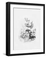 Evie-Design Fabrikken-Framed Art Print