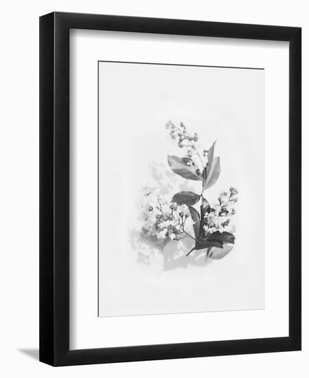 Evie-Design Fabrikken-Framed Art Print