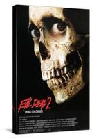 Evil Dead II (aka Evil Dead 2: Dead By Dawn), 1987-null-Stretched Canvas