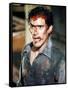Evil Dead II-null-Framed Stretched Canvas