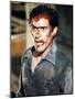 Evil Dead II-null-Mounted Photo