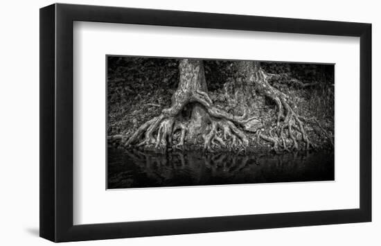 Evil Twins-Trent Foltz-Framed Art Print