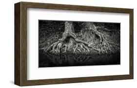 Evil Twins-Trent Foltz-Framed Art Print