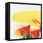 Evolution IV-Joyce Combs-Framed Stretched Canvas