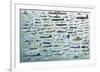 Evolution Military Aircraft-null-Framed Premium Giclee Print