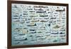 Evolution Military Aircraft-null-Framed Poster