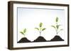 Evolution of A Young Plant-agencyby-Framed Photographic Print