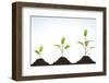 Evolution of A Young Plant-agencyby-Framed Photographic Print