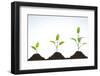 Evolution of A Young Plant-agencyby-Framed Photographic Print