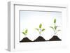 Evolution of A Young Plant-agencyby-Framed Photographic Print
