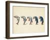 Evolution of Fish into Old Man, c. 1870-Science Source-Framed Giclee Print