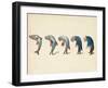 Evolution of Fish into Old Man, c. 1870-Science Source-Framed Giclee Print