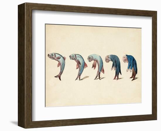 Evolution of Fish into Old Man, c. 1870-Science Source-Framed Giclee Print