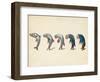 Evolution of Fish into Old Man, c. 1870-Science Source-Framed Giclee Print