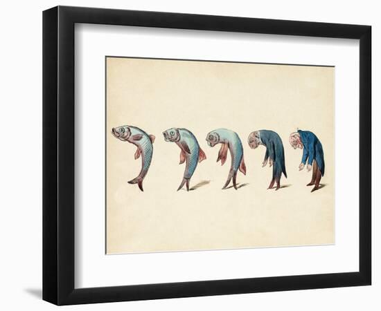 Evolution of Fish into Old Man, c. 1870-Science Source-Framed Giclee Print