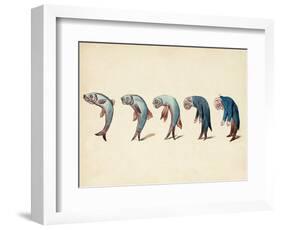 Evolution of Fish into Old Man, c. 1870-Science Source-Framed Giclee Print