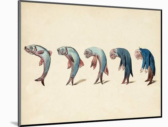 Evolution of Fish into Old Man, c. 1870-Science Source-Mounted Giclee Print