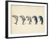 Evolution of Fish into Old Man, c. 1870-Science Source-Framed Giclee Print