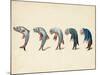 Evolution of Fish into Old Man, c. 1870-Science Source-Mounted Giclee Print