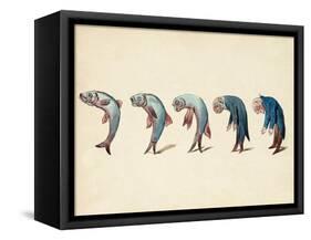 Evolution of Fish into Old Man, c. 1870-Science Source-Framed Stretched Canvas