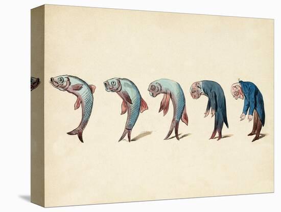 Evolution of Fish into Old Man, c. 1870-Science Source-Stretched Canvas