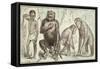 Evolution of Man from Mammals, from "La Creation Naturelle Et Les Etres Vivants"-A. Demarle-Framed Stretched Canvas
