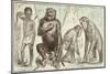 Evolution of Man from Mammals, from "La Creation Naturelle Et Les Etres Vivants"-A. Demarle-Mounted Giclee Print