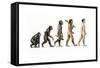 Evolution of Man-Karen Humpage-Framed Stretched Canvas